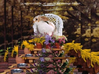 La nature s’éveille , et apporte son message d’espoir… 