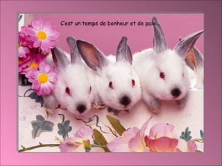 C’est un temps de bonheur et de paix… 