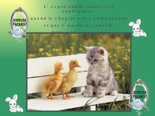 L’esprit oublie toutes ses souffrances  quand le chagrin a des compagnons  et que l’amitié le console. William Shakespeare 