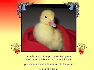 La vie est trop courte pour qu’on puisse s’embêter pendant seulement 1 heure. Courteline 