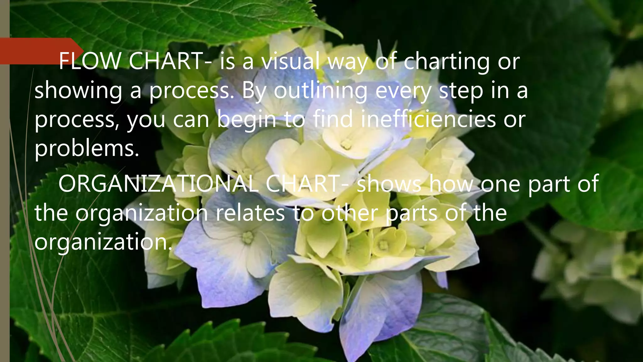 FLOW CHART- is a visual way of charting or
showing a process. By outlining every step in a
process, you can begin to find inefficiencies or
problems.
ORGANIZATIONAL CHART- shows how one part of
the organization relates to other parts of the
organization.
 