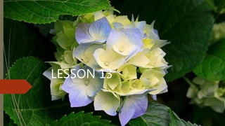 LESSON 13
 