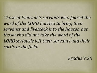 Those of Pharaoh’s servants who feared the
word of the LORD hurried to bring their
servants and livestock into the houses, but
those who did not take the word of the
LORD seriously left their servants and their
cattle in the field.
Exodus 9:20