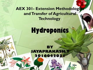 AEX 301- Extension Methodologies
andTransfer of Agricultural
Technology
Hydroponics
BY
JAYAPRAKASH.T
2016042031
 