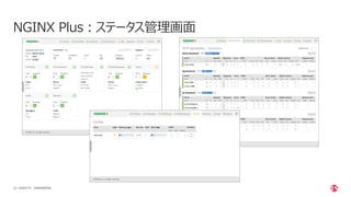 | ©2020 F523 CONFIDENTIAL
NGINX Plus：ステータス管理画面
 