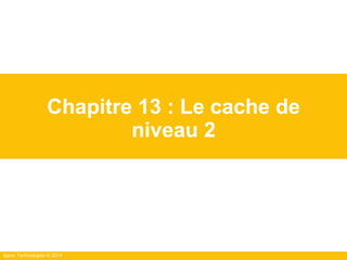 Ippon Technologies © 2014
Chapitre 13 : Le cache de
niveau 2
 