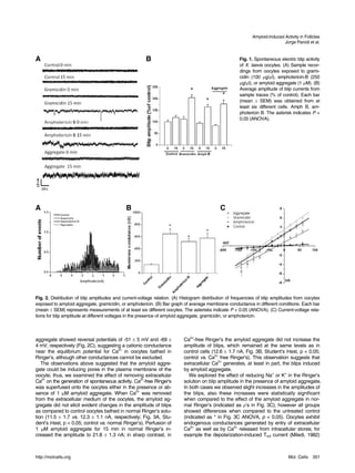 Amyloid-Induced Activity in Follicles
                                                                                                                             Jorge Parodi et al.


A                                                      B                                              Fig. 1. Spontaneous electric blip activity
                                                                                                      of X. laevis oocytes. (A) Sample recor-
                                                                                                      dings from oocytes exposed to grami-
                                                                                                      cidin (100 µg/µl), amphotericin-B (250
                                                                                                      µg/µl), or amyloid aggregate (1 µM). (B)
                                                                                                      Average amplitude of blip currents from
                                                                                                      sample traces (% of control). Each bar
                                                                                                      (mean ± SEM) was obtained from at
                                                                                                      least six different cells. Amph B, am-
                                                                                                      photericin B. The asterisk indicates P <
                                                                                                      0.05 (ANOVA).




A                                            B                                              C




Fig. 2. Distribution of blip amplitudes and current-voltage relation. (A) Histogram distribution of frequencies of blip amplitudes from oocytes
exposed to amyloid aggregate, gramicidin, or amphotericin. (B) Bar graph of average membrane conductance in different conditions. Each bar
(mean ± SEM) represents measurements of at least six different oocytes. The asterisks indicate P < 0.05 (ANOVA). (C) Current-voltage rela-
tions for blip amplitude at different voltages in the presence of amyloid aggregate, gramicidin, or amphotericin.




aggregate showed reversal potentials of -51 ± 5 mV and -69 ±              Ca2+-free Ringer’s the amyloid aggregate did not increase the
4 mV, respectively (Fig. 2C), suggesting a cationic conductance           amplitude of blips, which remained at the same levels as in
near the equilibrium potential for Ca2+ in oocytes bathed in              control cells (12.6 ± 1.7 nA, Fig. 3B, Student’s t-test, p < 0.05;
Ringer’s, although other conductances cannot be excluded.                 control vs. Ca2+ free Ringer’s). This observation suggests that
   The observations above suggested that the amyloid aggre-               extracellular Ca2+ generates, at least in part, the blips induced
gate could be inducing pores in the plasma membrane of the                by amyloid aggregate.
oocyte; thus, we examined the effect of removing extracellular               We explored the effect of reducing Na+ or K+ in the Ringer’s
Ca2+ on the generation of spontaneous activity. Ca2+-free Ringer’s        solution on blip amplitude in the presence of amyloid aggregate.
was superfused onto the oocytes either in the presence or ab-             In both cases we observed slight increases in the amplitudes of
sence of 1 μM amyloid aggregate. When Ca2+ was removed                    the blips, also these increases were statistically significant
from the extracellular medium of the oocytes, the amyloid ag-             when compared to the effect of the amyloid aggregate in nor-
gregate did not elicit evident changes in the amplitude of blips          mal Ringer’s (indicated as ρ’s in Fig. 3C), however all groups
as compared to control oocytes bathed in normal Ringer’s solu-            showed differences when compared to the untreated control
tion (11.5 ± 1.7 vs. 12.3 ± 1.1 nA, respectively; Fig. 3A, Stu-           (indicated as * in Fig. 3C ANOVA, p < 0.05). Oocytes exhibit
dent’s t-test, p < 0.05; control vs. normal Ringer’s). Perfusion of       endogenous conductances generated by entry of extracellular
1 μM amyloid aggregate for 15 min in normal Ringer’s in-                  Ca2+ as well as by Ca2+ released from intracellular stores; for
creased the amplitude to 21.8 ± 1.3 nA; in sharp contrast, in             example the depolarization-induced Tout current (Miledi, 1982)



http://molcells.org                                                                                                             Mol. Cells    351
 