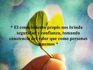 Se conocen recíprocamente en cuanto a carácter, sentimientos, gustos, aficiones, ideales de vida, religiosidad.