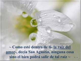 Permite la formación de la voluntad, combate el egoísmo, fomenta la generosidad, confianza, honestidad, el respeto; estimula la reflexión y el sentido de responsabilidad. 