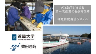 AIとIoTが支える
第一次産業の働き方改革
稚魚自動選別システム
 