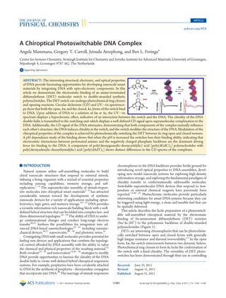 Published: August 31, 2011
r 2011 American Chemical Society 11581 dx.doi.org/10.1021/jp205893y |J. Phys. Chem. B 2011, 115, 11581–11587
ARTICLE
pubs.acs.org/JPCB
A Chiroptical Photoswitchable DNA Complex
Angela Mammana, Gregory T. Carroll, Jetsuda Areephong, and Ben L. Feringa*
Centre for Systems Chemistry, Stratingh Institute for Chemistry and Zernike Institute for Advanced Materials, University of Groningen,
Nijenborgh 4, Groningen 9747 AG, The Netherlands
bS Supporting Information
’ INTRODUCTION
Natural systems utilize self-assembling molecules to build
chiral nanoscale structures that respond to external stimuli,
imbuing a living organism with a myriad of essential properties
including sensing capabilities, memory storage, and self-
replication.1À4
The supramolecular assembly of stimuli-respon-
sive molecules into chiroptical smart materials5À9
has attracted
considerable interest toward the development of synthetic
nanoscale devices for a variety of applications including optoe-
lectronics, logic gates, and memory storage.10À15
DNA provides
a versatile information-rich nanoscale building block with a well-
deﬁned helical structure that can be folded into complex two- and
three-dimensional topologies.16À19
The ability of DNA to under-
go conformational changes and conduct long-range electron
transfer20,21
furthers the possibilities for integration into ad-
vanced DNA-based nanotechnologies22À25
including nanome-
chanical devices,26,27
nanocircuits,28À30
and photonic wires.31
Conjugating DNA with small molecules provides potential for
fueling new devices and applications that combine the topologi-
cal control aﬀorded by DNA assembly with the ability to tailor
the chemical and physical properties of the resulting material.32
Both covalent33À35
and noncovalent13,36À38
strategies to modify
DNA provide opportunities to harness the chirality of the DNA
double-helix to create well-deﬁned hybrid chiroptical responsive
systems. For example, porphyrins have been covalently attached
to DNA by the synthesis of porphyrinÀdeoxyuridine conjugates
that incorporate into DNA.39
The marriage of stimuli-responsive
chromophores to the DNA backbone provides fertile ground for
introducing novel optical properties to DNA assemblies, devel-
oping new model nanoscale systems for exploring high-density
information storage, and exploring the fundamental paradigms of
chirality transfer to conformationally addressable molecules.
Switchable supramolecular DNA devices that respond to tem-
perature or external chemical reagents have previously been
reported.13,40À42
Photochromic molecules provide particularly
interesting candidates for smart DNA systems because they can
be triggered using light energy, a clean and tunable fuel that can
be spatially delivered.
This article describes the facile preparation of a photoswitch-
able self-assembled chiroptical material by the electrostatic
binding of bis-ammonium dithienylethene (DET) moieties
(1o/1c-2H+
) to the polyanionic backbone of double-stranded
polynucleotides (Figure 1).
DETs are interesting chromophores that can be photochemi-
cally switched between open and closed forms with generally
high fatigue resistance and thermal irreversibility.11
In the open
form, 1o, the switch interconverts between two dynamic helices.
Photochemical ring-closure to form 1c locks the conformation of
the switch with a ﬁxed chirality. The versatility of DET photo-
switches has been demonstrated through their use in controlling
Received: June 23, 2011
Revised: August 31, 2011
ABSTRACT: The interesting structural, electronic, and optical properties
of DNA provide fascinating opportunities for developing nanoscale smart
materials by integrating DNA with opto-electronic components. In this
article we demonstrate the electrostatic binding of an amine-terminated
dithienylethene (DET) molecular switch to double-stranded synthetic
polynucleotides. The DET switch can undergo photochemical ring-closure
and opening reactions. Circular dichroism (CD) and UVÀvis spectrosco-
py show that both the open, 1o, and the closed, 1c, forms of the switch bind
to DNA. Upon addition of DNA to a solution of 1o or 1c, the UVÀvis
spectrum displays a hypochromic eﬀect, indicative of an interaction between the switch and the DNA. The chirality of the DNA
double-helix is transmitted to the switching unit which displays a well-deﬁned CD signal upon supramolecular complexation to the
DNA. Additionally, the CD signal of the DNA attenuates, demonstrating that both components of the complex mutually inﬂuence
each other's structure; the DNA induces chirality in the switch, and the switch modiﬁes the structure of the DNA. Modulation of the
chiroptical properties of the complex is achieved by photochemically switching the DET between its ring open and closed isomers.
A pH dependence study of the binding shows that when the pH is increased the switches lose their binding ability, indicating that
electrostatic interactions between protonated amines and the negatively charged phosphate backbone are the dominant driving
force for binding to the DNA. A comparison of poly(deoxyguanylic-deoxycytidylic) acid [poly(dGdC)2] polynucleotides with
poly(deoxyadenylic-deoxythymidylic) acid [poly(dAdT)2] shows distinct diﬀerences in the CD spectra of the complexes.
 