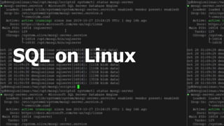 SQL on Linux
 