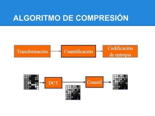 ALGORITMO DE COMPRESIÓN