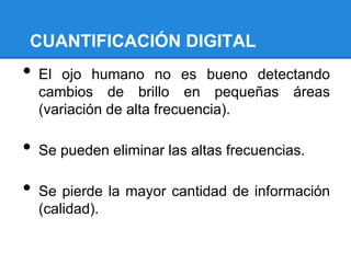 CUANTIFICACIÓN DIGITAL
• El ojo humano no es bueno detectando
cambios de brillo en pequeñas áreas
(variación de alta frecuencia).
• Se pueden eliminar las altas frecuencias.
• Se pierde la mayor cantidad de información
(calidad).