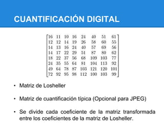 CUANTIFICACIÓN DIGITAL
• Matriz de Losheller
• Matriz de cuantificación típica (Opcional para JPEG)
• Se divide cada coeficiente de la matriz transformada
entre los coeficientes de la matriz de Losheller.
