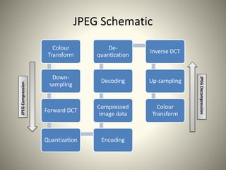 JPEG Schematic
Colour
Transform
Down-
sampling
Forward DCT
Quantization Encoding
Compressed
image data
Decoding
De-
quanti...