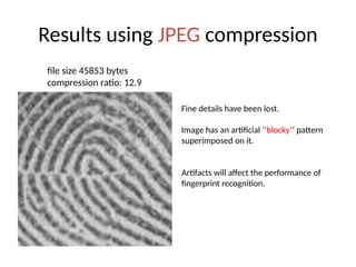 JPEG and MPEG Compression in Digital Image Processing.pptx