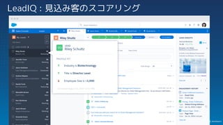 LeadIQ : 見込み客のスコアリング
 