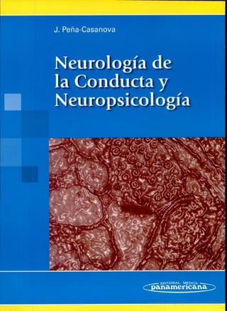 Bases neurobiologicas de las funciones cognitivas: hacia una integración por niveles