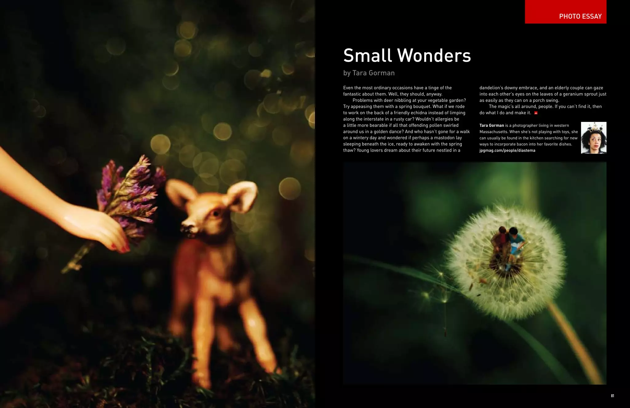 Jpg Magazine Issue 11