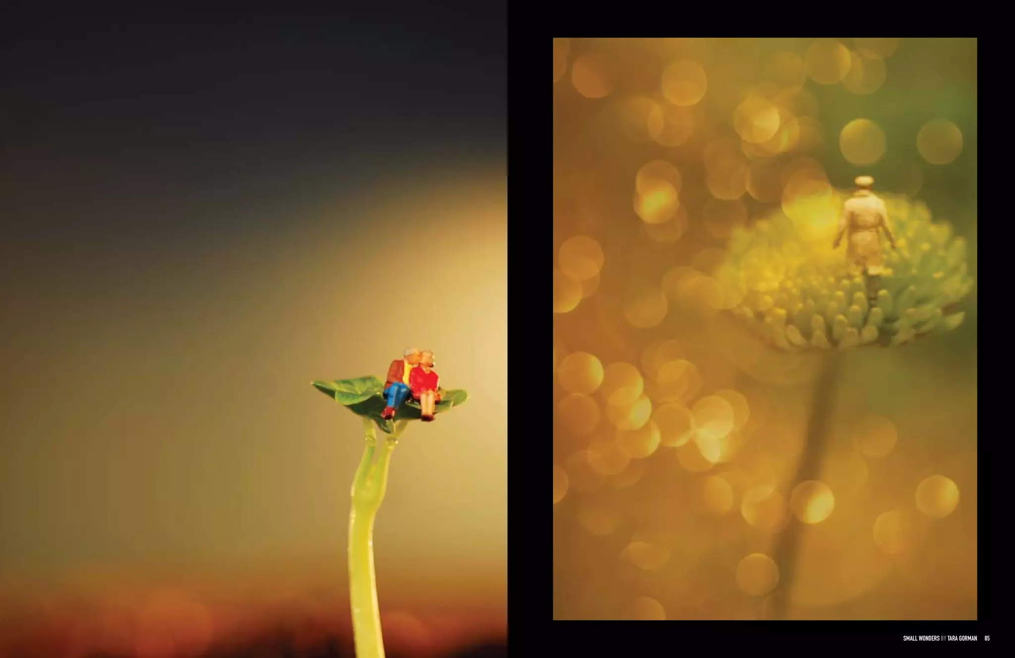 Jpg Magazine Issue 11