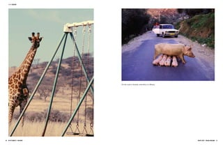 Jpg Magazine Issue 13