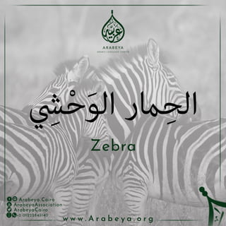 Wild Animals - الحيوانات البرية