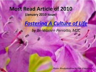 Most Read Article of 2010 (January 2010 Issue) Fostering A Culture of Life by Br. Warren Perrotto, MSC Photo: Rhododendron by PetrKratochvil 