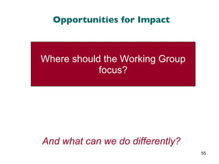 Opportunities for Impact Where should the Working Group focus? And what can we do differently? 