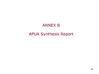 ANNEX B APUA Synthesis Report 
