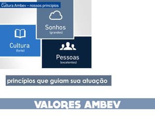 princípios que guiam sua atuação
 