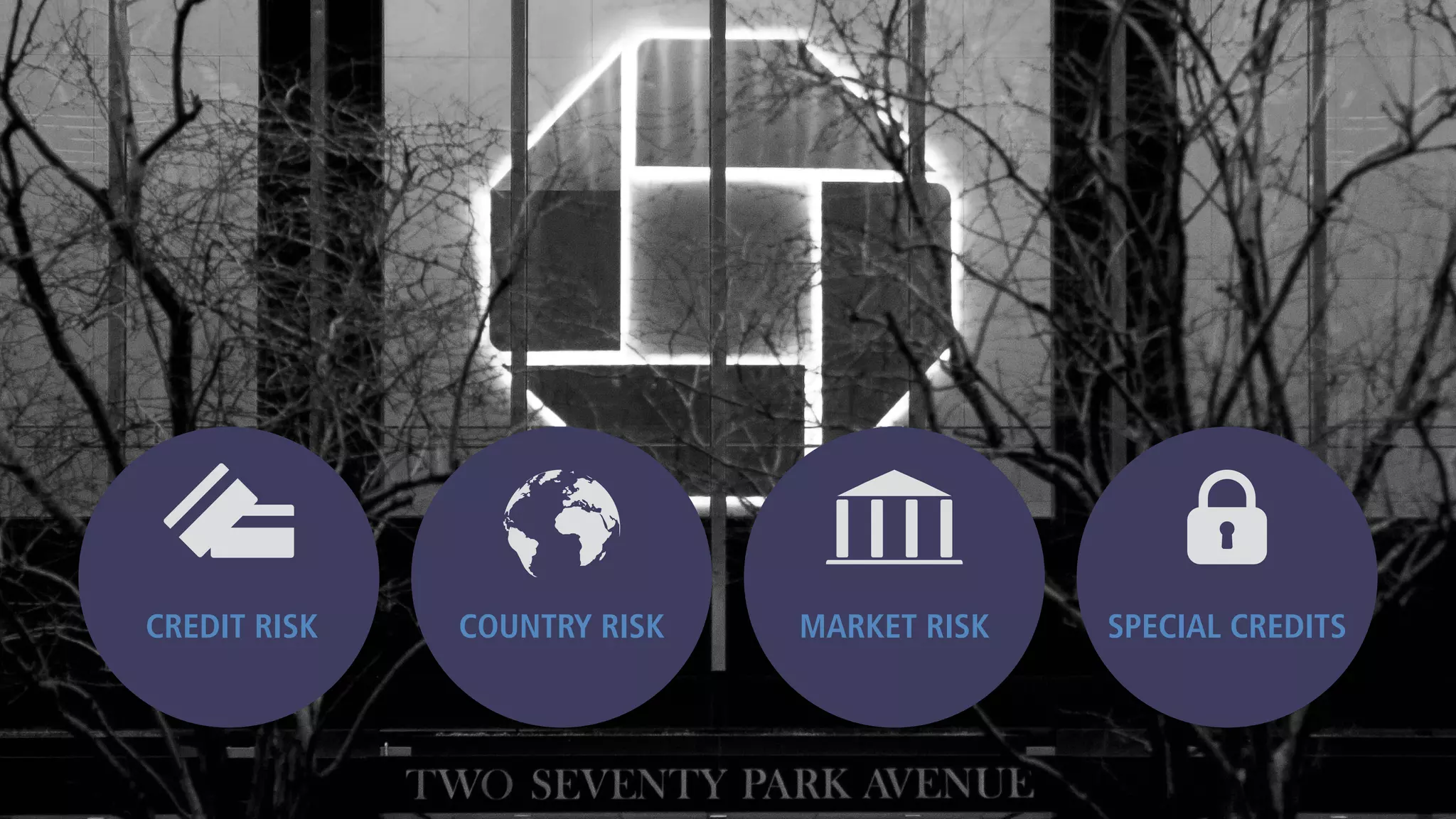 CREDIT RISK COUNTRY RISK MARKET RISK SPECIAL CREDITS
 
