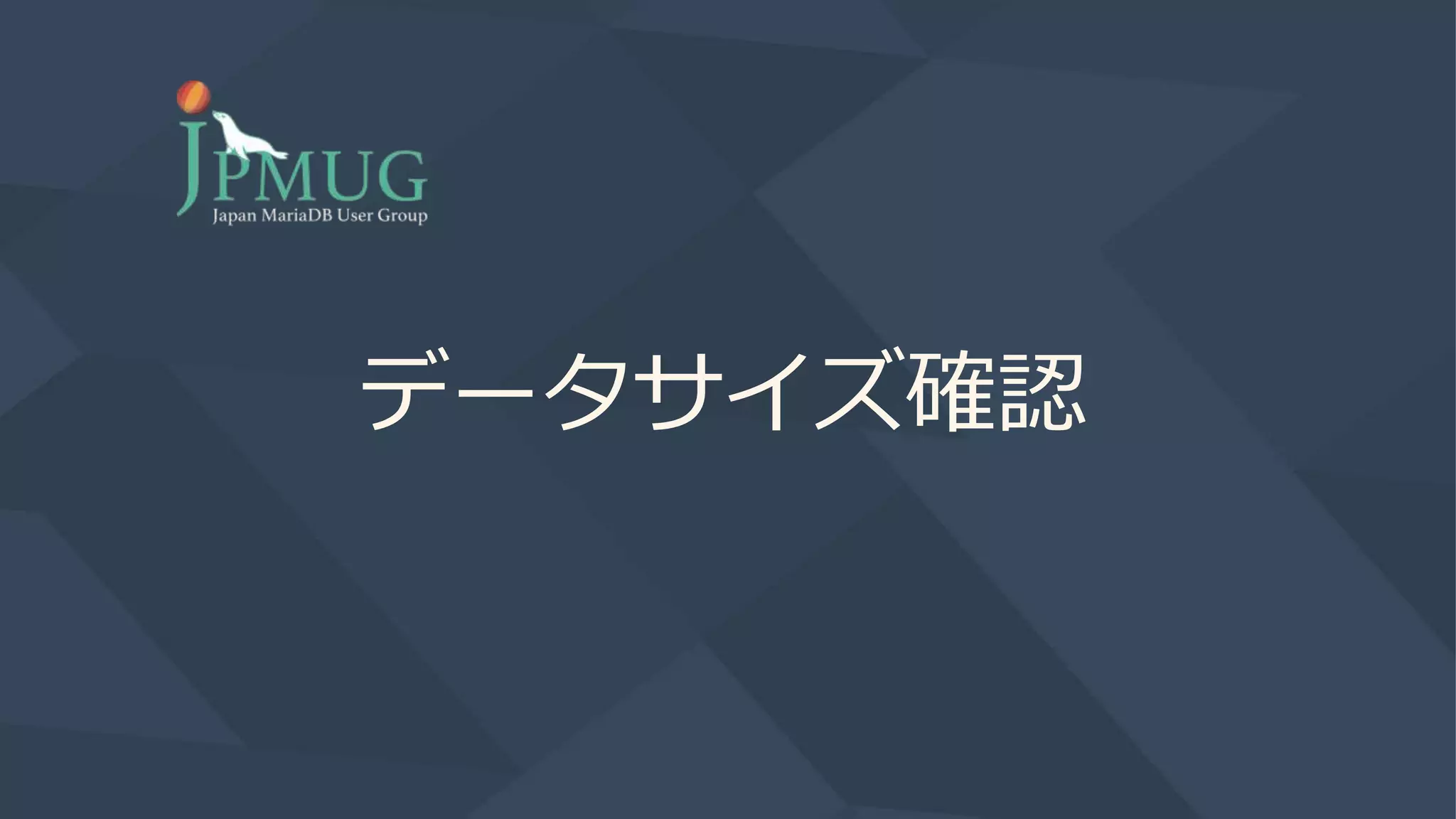 データサイズ確認
 