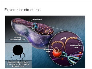 Explorer les structures

 