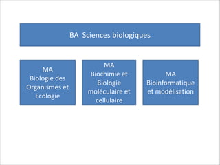 BA	
  	
  Sciences	
  biologiques

MA	
  	
  
Biologie	
  des	
  
Organismes	
  et	
  
Ecologie

MA	
  	
  
Biochimie	
  et	
  
Biologie	
  
moléculaire	
  et	
  
cellulaire

MA	
  
Bioinformatique	
  
et	
  modélisation

 