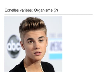 Echelles variées: Organisme (?)

 