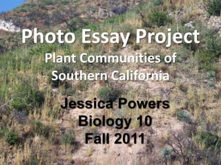Photo Essay Project
  Plant Communities of
   Southern California
    Jessica Powers
      Biology 10
       Fall 2011
 