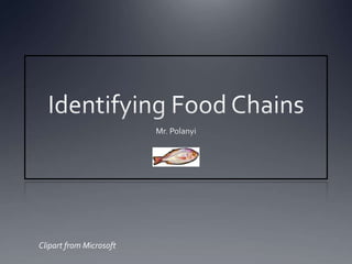 Identifying Food Chains Mr. Polanyi Clipart from Microsoft 