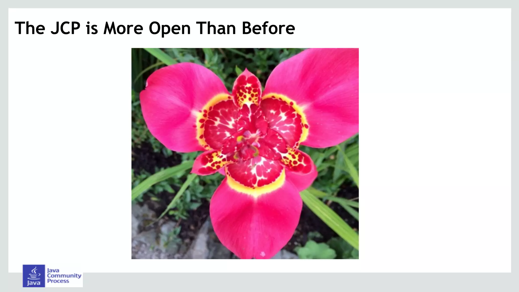 The JCP is More Open Than Before
 