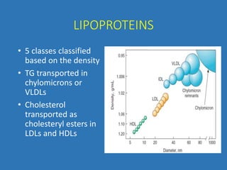 LIPOPROTEINS
• 5 classes classified
based on the density
• TG transported in
chylomicrons or
VLDLs
• Cholesterol
transported as
cholesteryl esters in
LDLs and HDLs
 