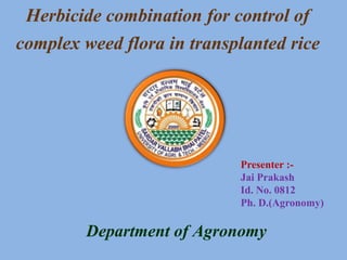 Herbicide combination for control of
complex weed flora in transplanted rice
Presenter :-
Jai Prakash
Id. No. 0812
Ph. D.(Agronomy)
Department of Agronomy
 