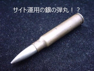 サイト運用の銀の弾丸！？  