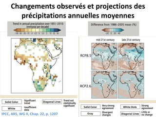 Changements observés et projections des
précipitations annuelles moyennes
IPCC, AR5, WG II, Chap. 22, p. 1207
RCP8.5
RCP2.6
 