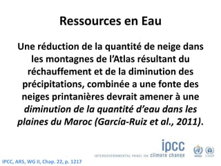 Ressources en Eau
Une réduction de la quantité de neige dans
les montagnes de l’Atlas résultant du
réchauffement et de la diminution des
précipitations, combinée a une fonte des
neiges printanières devrait amener à une
diminution de la quantité d’eau dans les
plaines du Maroc (García-Ruiz et al., 2011).
IPCC, AR5, WG II, Chap. 22, p. 1217
 