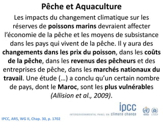 Pêche et Aquaculture
Les impacts du changement climatique sur les
réserves de poissons marins devraient affecter
l’économie de la pêche et les moyens de subsistance
dans les pays qui vivent de la pêche. Il y aura des
changements dans les prix du poisson, dans les coûts
de la pêche, dans les revenus des pêcheurs et des
entreprises de pêche, dans les marchés nationaux du
travail. Une étude (…) a conclu qu’un certain nombre
de pays, dont le Maroc, sont les plus vulnérables
(Allision et al., 2009).
IPCC, AR5, WG II, Chap. 30, p. 1702
 