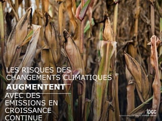 AVEC DES
EMISSIONS EN
CROISSANCE
CONTINUE
AUGMENTENT
LES RISQUES DES
CHANGEMENTS CLIMATIQUES
 