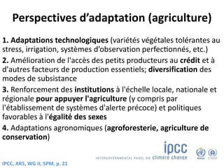 Perspectives d’adaptation (agriculture)
1. Adaptations technologiques (variétés végétales tolérantes au
stress, irrigation, systèmes d’observation perfectionnés, etc.)
2. Amélioration de l'accès des petits producteurs au crédit et à
d'autres facteurs de production essentiels; diversification des
modes de subsistance
3. Renforcement des institutions à l'échelle locale, nationale et
régionale pour appuyer l'agriculture (y compris par
l'établissement de systèmes d'alerte précoce) et politiques
favorables à l'égalité des sexes
4. Adaptations agronomiques (agroforesterie, agriculture de
conservation)
IPCC, AR5, WG II, SPM, p. 21
 