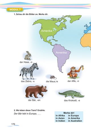 176
MODUL 7
Merke dir!
in Afrika 	 in Europa
in Asien 	 in Amerika
in Indien 	 in Australien
1. Schau dir die Bilder an. Merke dir.
2. Wo leben diese Tiere? Erzähle.
Der Bär lebt in Europa, … .
der Hase, -n
die Maus,-¨e
das Krokodil, -e
das Zebra, -s der Affe, -n
der Bär, -en
 