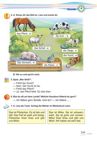 219
Stunde
219
4. A. Schau dir das Bild an. Lies und merke dir.
B. Hör zu und sprich nach.
5. Spiel „Wer fehlt?“.
— Fehlt der Hund?
— Nein. Der Hund ist da.
— Fehlt das Pferd?
— Ja, das Pferd fehlt. Du bist dran.
6. Bist du oft auf dem Lande? Welche Haustiere fütterst du gern?
— Ich füttere gern Schafe. Und du? — Ich füttere … .
7. A. Lies die Texte. Schlag die Wörter im Wörterbuch nach.
4
die Kuh, -¨e
das Schwein, -e
das Pferd, -e
das Schaf, -e
die Ziege, -n
der Hund, -e
die Katze, -n
Das ist Flöckchen. Es ist lieb und
still. Das Fell ist weiß und lockig.
Flöckchen frisst Gras und gibt
uns Milch.
Das ist Milka. Sie ist schwarz-
weiß. Sie ist groß und schwer.
Milka frisst Gras und gibt uns
Milch. Wir haben sie sehr lieb.
 
