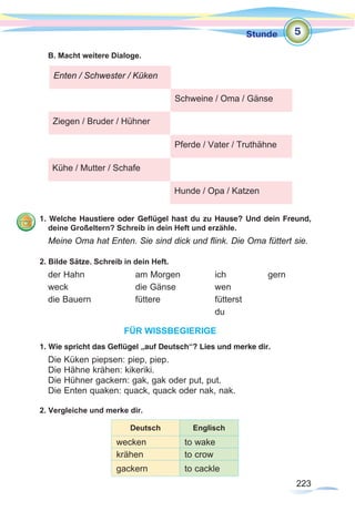 223
Stunde
223
B. Macht weitere Dialoge.
1. Welche Haustiere oder Geflügel hast du zu Hause? Und dein Freund,
deine Großeltern? Schreib in dein Heft und erzähle.
Meine Oma hat Enten. Sie sind dick und flink. Die Oma füttert sie.
2. Bilde Sätze. Schreib in dein Heft.
der Hahn		am Morgen		ich		gern
weck 			 die Gänse		 wen		
die Bauern		füttere			fütterst	
							du
FÜR WISSBEGIERIGE
1. Wie spricht das Geflügel „auf Deutsch“? Lies und merke dir.
Die Küken piepsen: piep, piep.
Die Hähne krähen: kikeriki.
Die Hühner gackern: gak, gak oder put, put.
Die Enten quaken: quack, quack oder nak, nak.
2. Vergleiche und merke dir.
Enten / Schwester / Küken
Schweine / Oma / Gänse
Ziegen / Bruder / Hühner
Pferde / Vater / Truthähne
Kühe / Mutter / Schafe
Hunde / Opa / Katzen
5
Deutsch Englisch
wecken to wake
krähen to crow
gackern to cackle
 